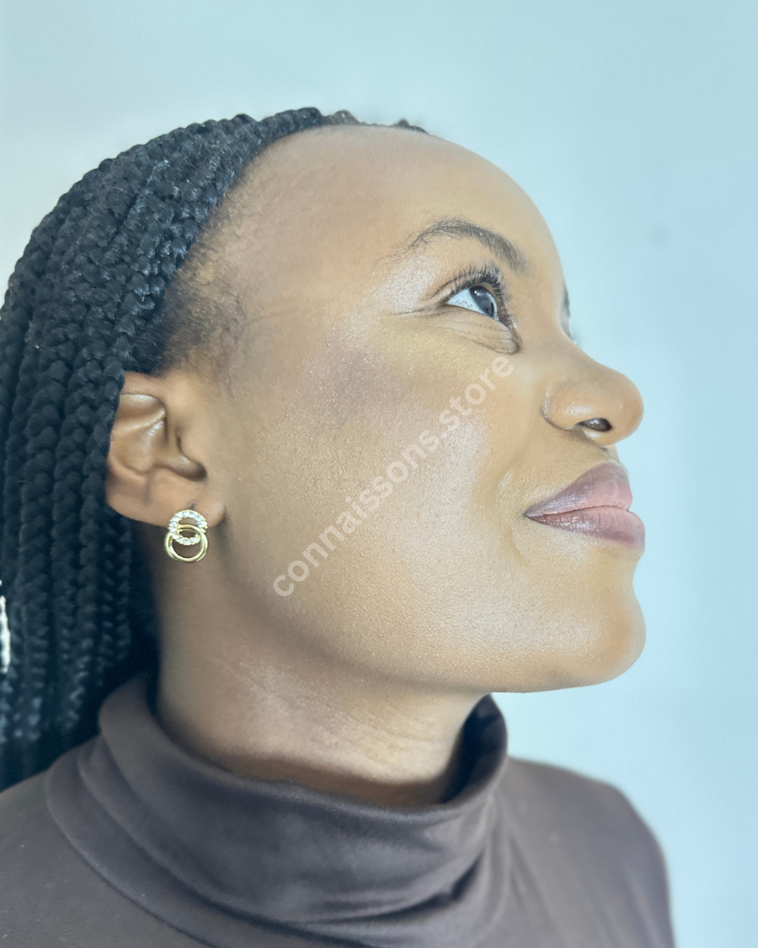 Connected Rings Earrings - Gold