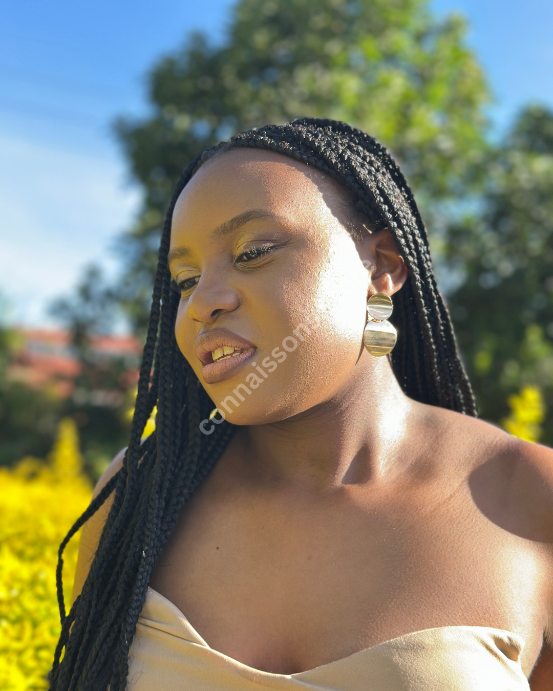 Double Buttoned Earrings - Gold