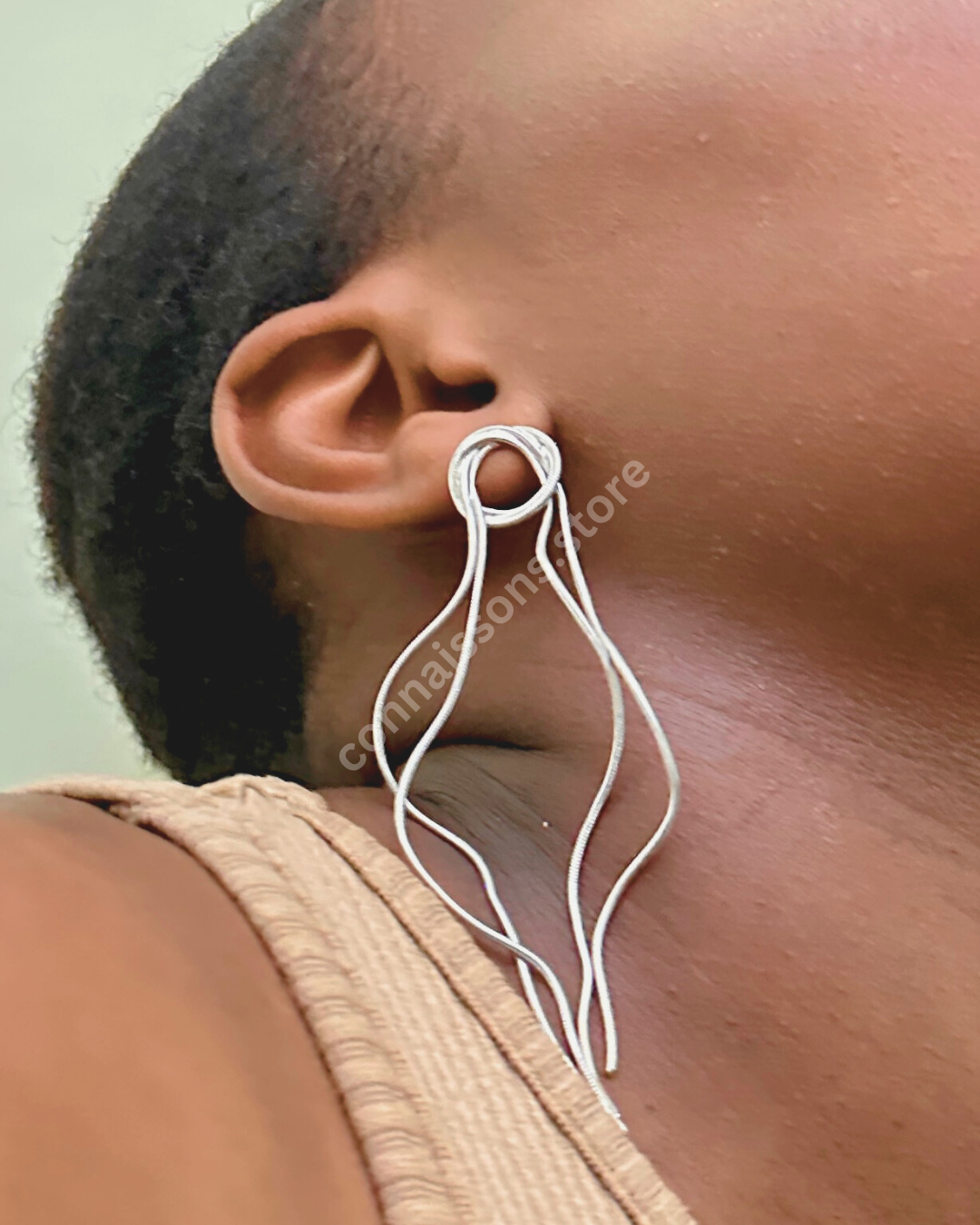 Looped Dangling Earrings - Silver
