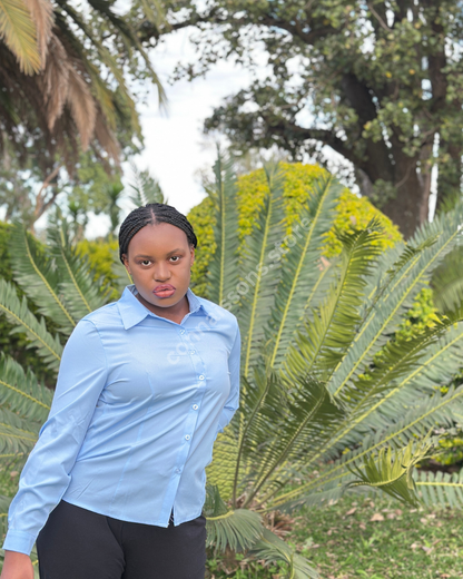 Basic Office Work Shirt - Blue