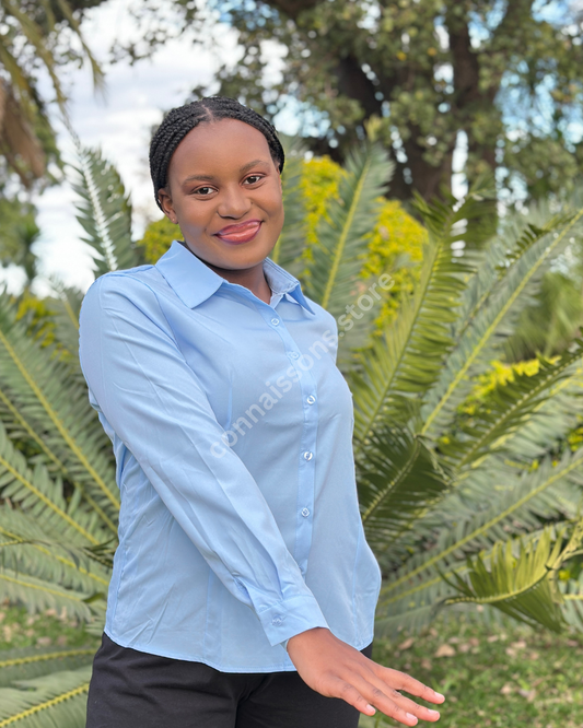 Basic Office Work Shirt - Blue